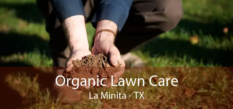Organic Lawn Care La Minita - TX