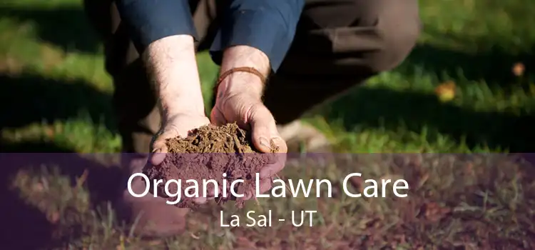 Organic Lawn Care La Sal - UT