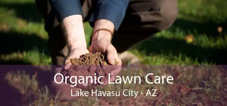 Organic Lawn Care Lake Havasu City - AZ