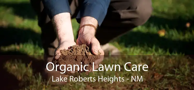 Organic Lawn Care Lake Roberts Heights - NM