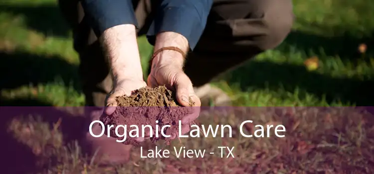 Organic Lawn Care Lake View - TX