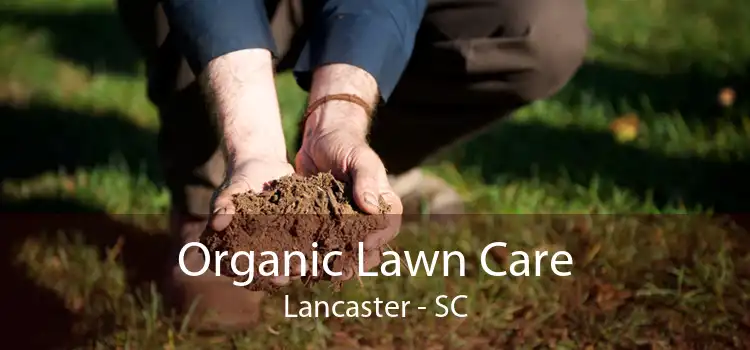 Organic Lawn Care Lancaster - SC