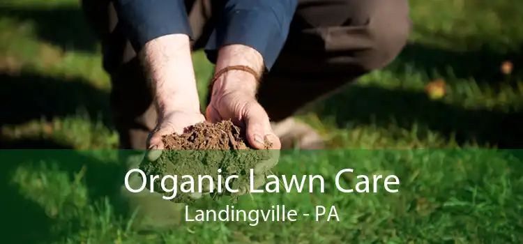 Organic Lawn Care Landingville - PA
