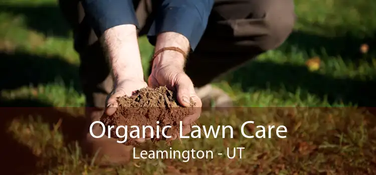 Organic Lawn Care Leamington - UT