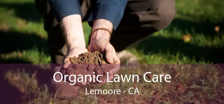 Organic Lawn Care Lemoore - CA