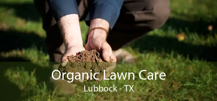 Organic Lawn Care Lubbock - TX