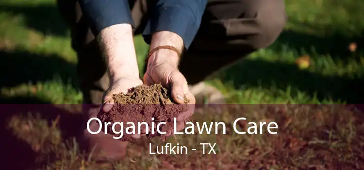 Organic Lawn Care Lufkin - TX