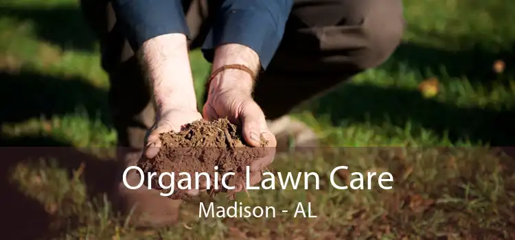 Organic Lawn Care Madison - AL