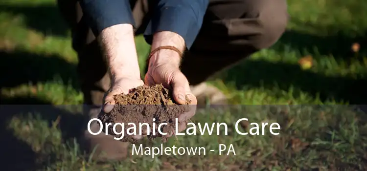 Organic Lawn Care Mapletown - PA