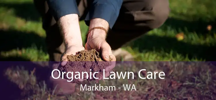 Organic Lawn Care Markham - WA