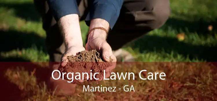 Organic Lawn Care Martinez - GA
