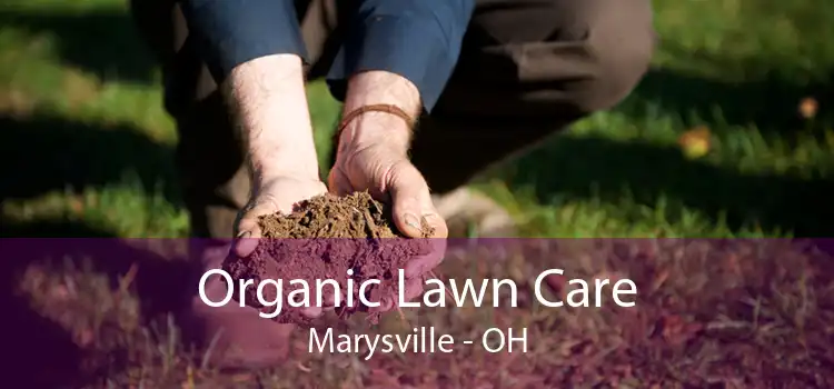 Organic Lawn Care Marysville - OH