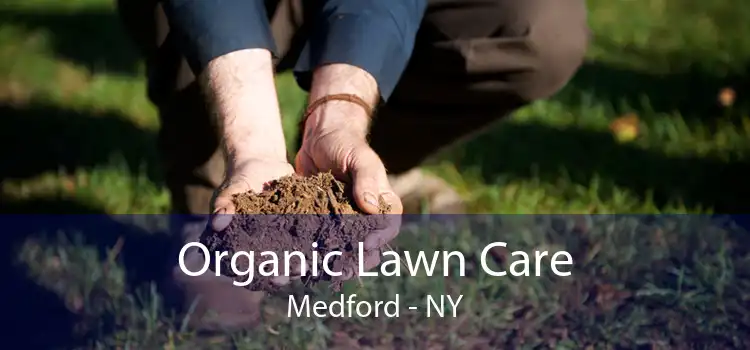 Organic Lawn Care Medford - NY