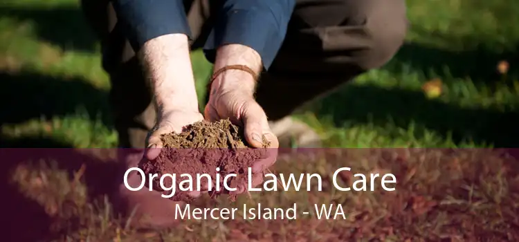 Organic Lawn Care Mercer Island - WA