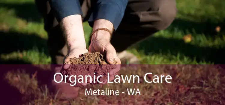 Organic Lawn Care Metaline - WA