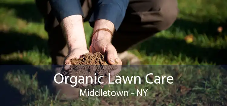 Organic Lawn Care Middletown - NY