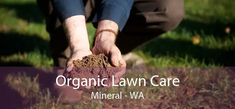 Organic Lawn Care Mineral - WA