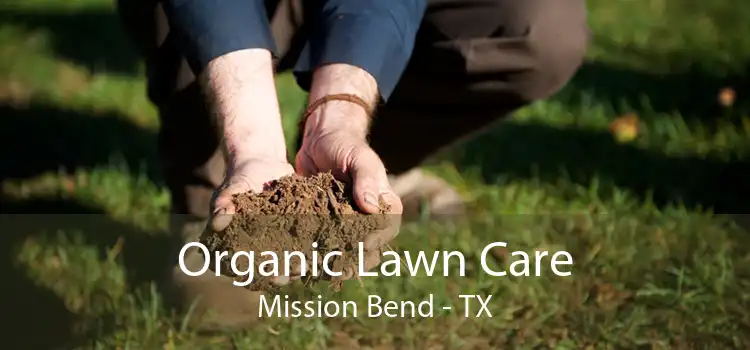 Organic Lawn Care Mission Bend - TX