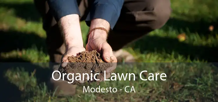 Organic Lawn Care Modesto - CA