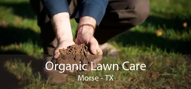 Organic Lawn Care Morse - TX