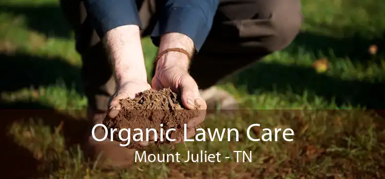 Organic Lawn Care Mount Juliet - TN