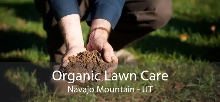 Organic Lawn Care Navajo Mountain - UT