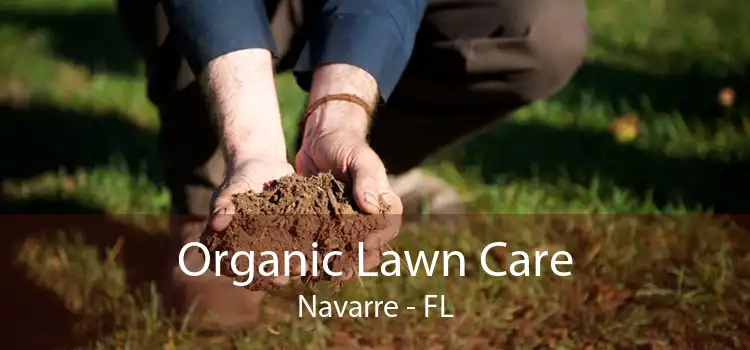 Organic Lawn Care Navarre - FL