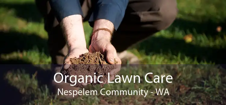 Organic Lawn Care Nespelem Community - WA