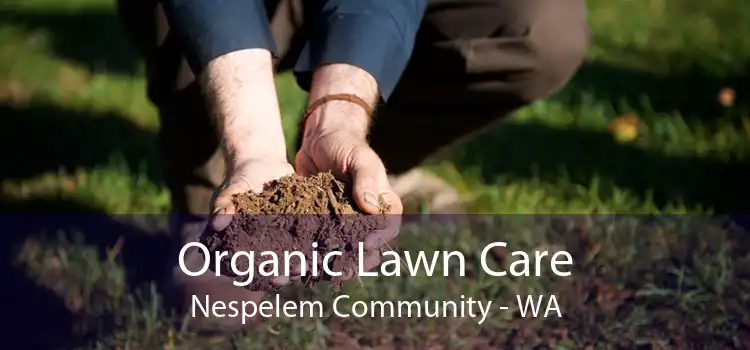 Organic Lawn Care Nespelem Community - WA