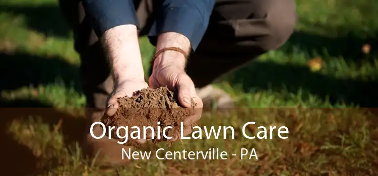 Organic Lawn Care New Centerville - PA