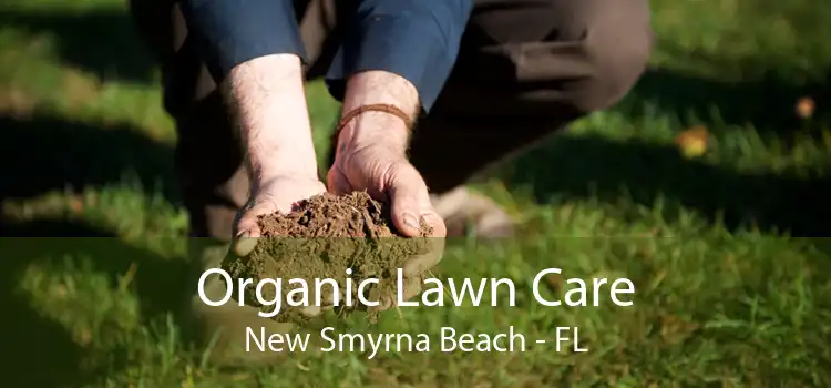 Organic Lawn Care New Smyrna Beach - FL