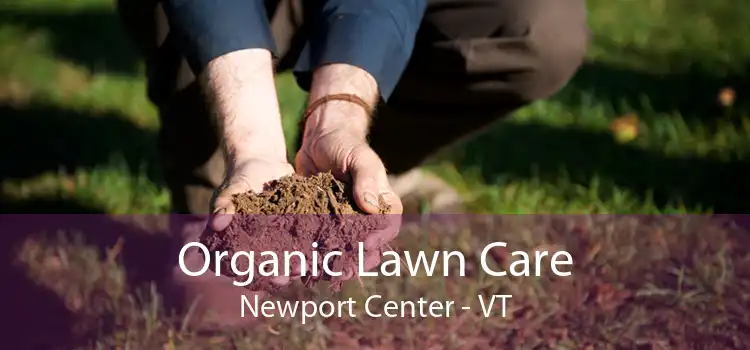 Organic Lawn Care Newport Center - VT