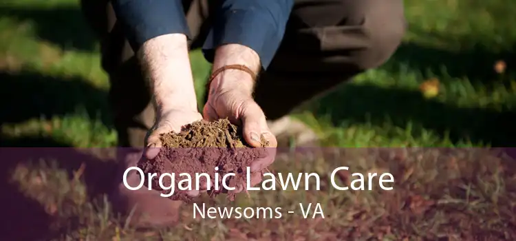 Organic Lawn Care Newsoms - VA