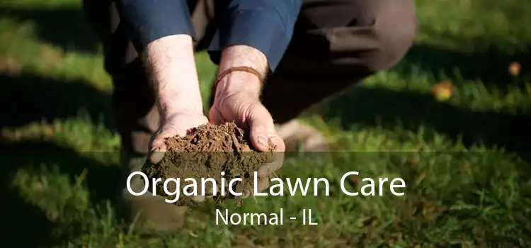 Organic Lawn Care Normal - IL