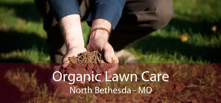 Organic Lawn Care North Bethesda - MD