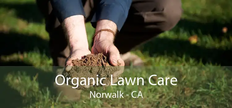 Organic Lawn Care Norwalk - CA