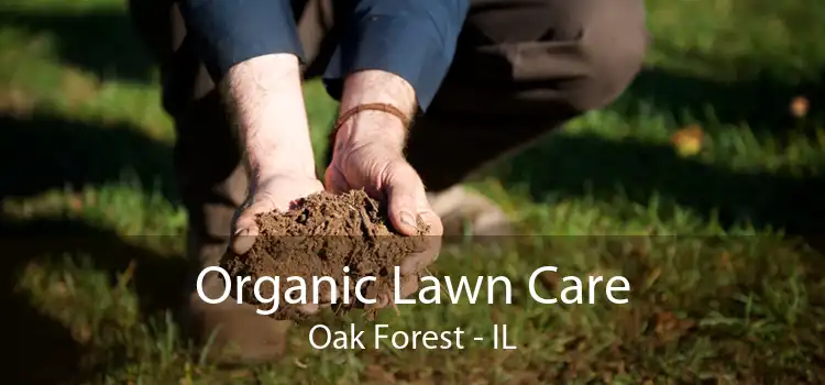 Organic Lawn Care Oak Forest - IL