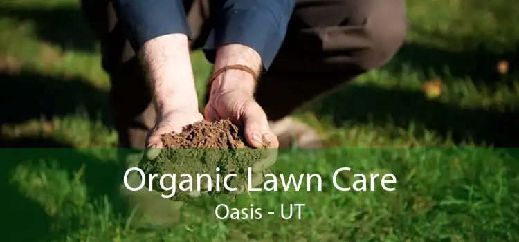 Organic Lawn Care Oasis - UT