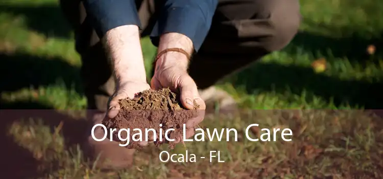 Organic Lawn Care Ocala - FL