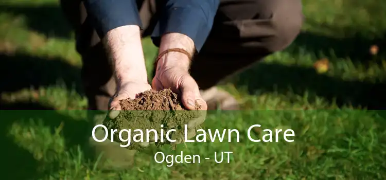 Organic Lawn Care Ogden - UT