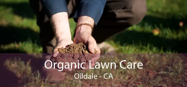  Organic Lawn Care Oildale - CA