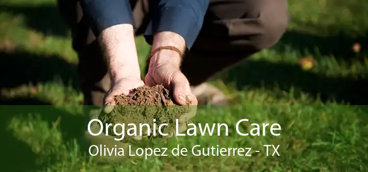 Organic Lawn Care Olivia Lopez de Gutierrez - TX