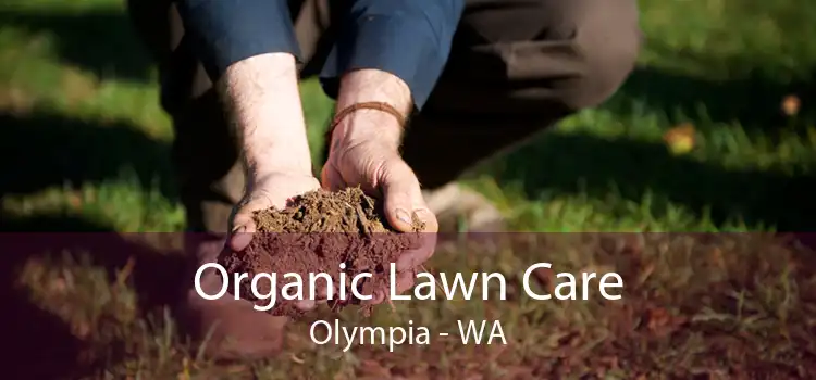 Organic Lawn Care Olympia - WA