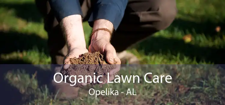 Organic Lawn Care Opelika - AL