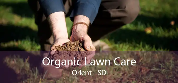 Organic Lawn Care Orient - SD