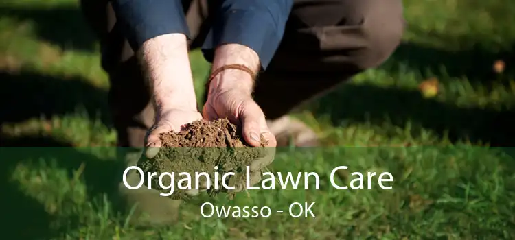 Organic Lawn Care Owasso - OK