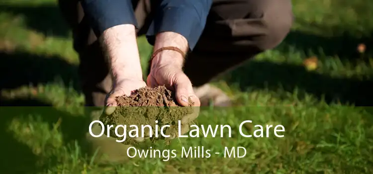Organic Lawn Care Owings Mills - MD