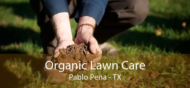 Organic Lawn Care Pablo Pena - TX