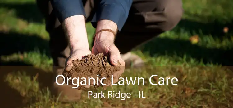 Organic Lawn Care Park Ridge - IL
