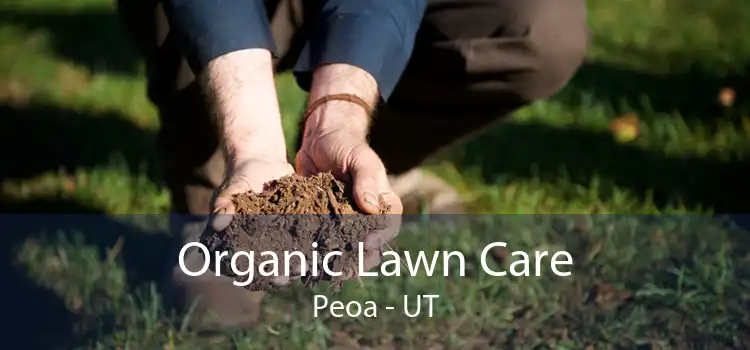 Organic Lawn Care Peoa - UT